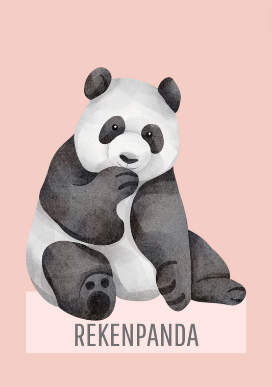 Rekenpanda: hoofdrekenen tot 100