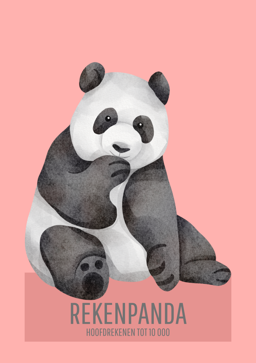 Rekenpanda: hoofdrekenen tot 10 000