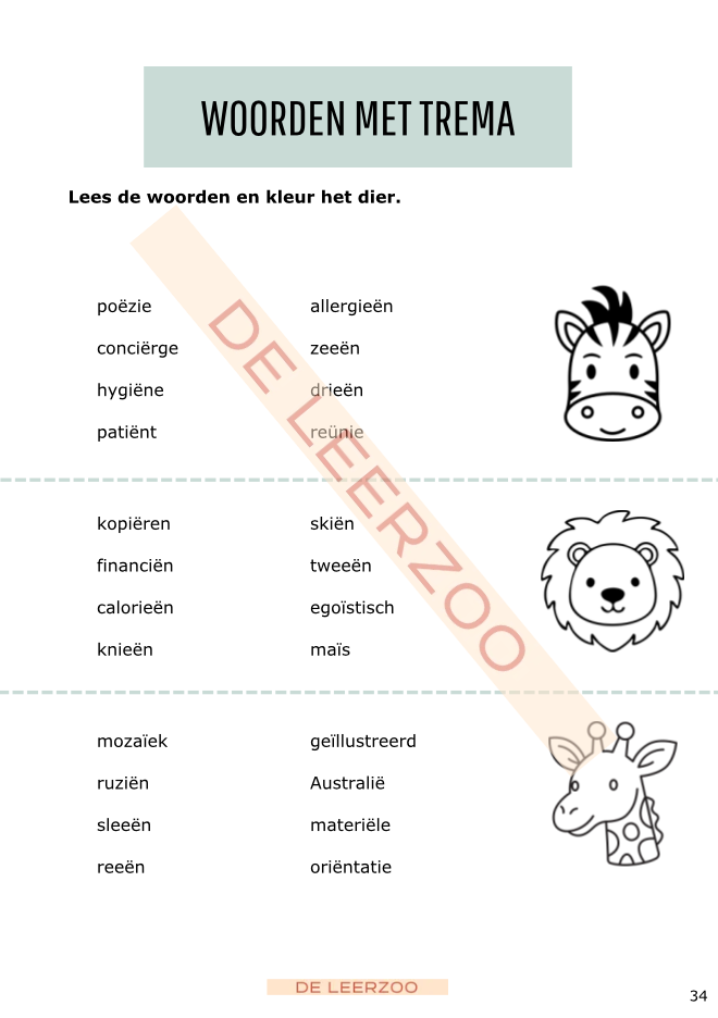 Zomerbundel taal: vijfde leerjaar/groep 7