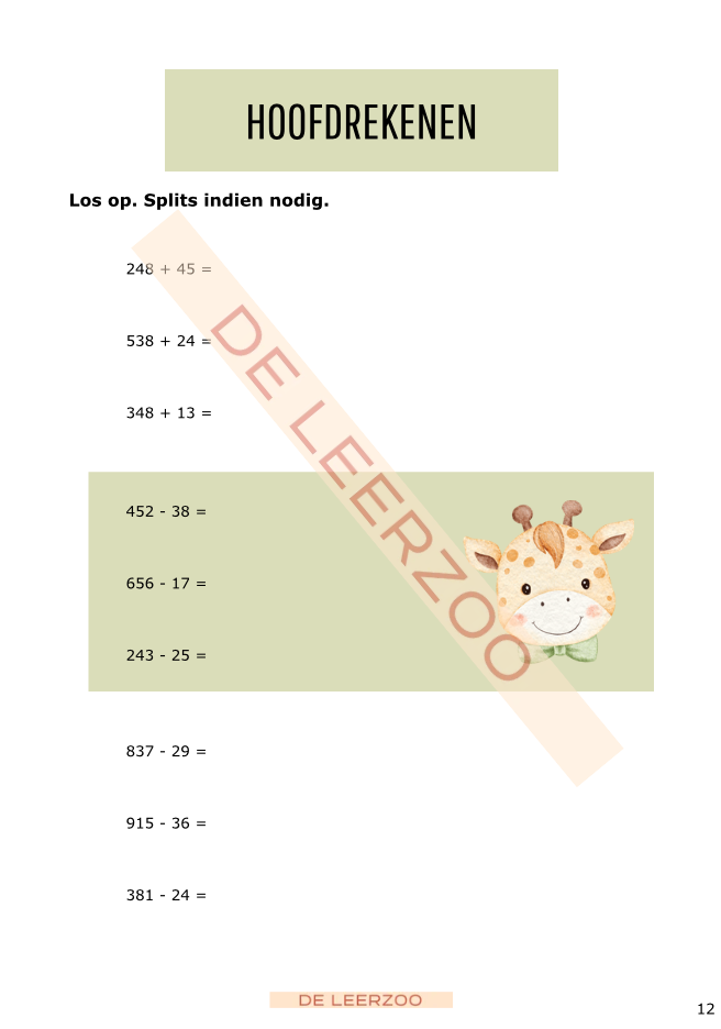 Zomerbundel rekenen: derde leerjaar/groep 5